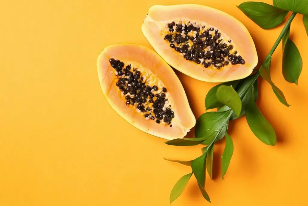 Papaya Fruit